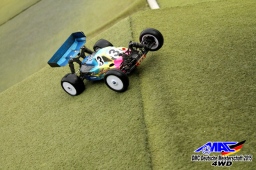 2015 DM 4WD Buggy 4WD Juni